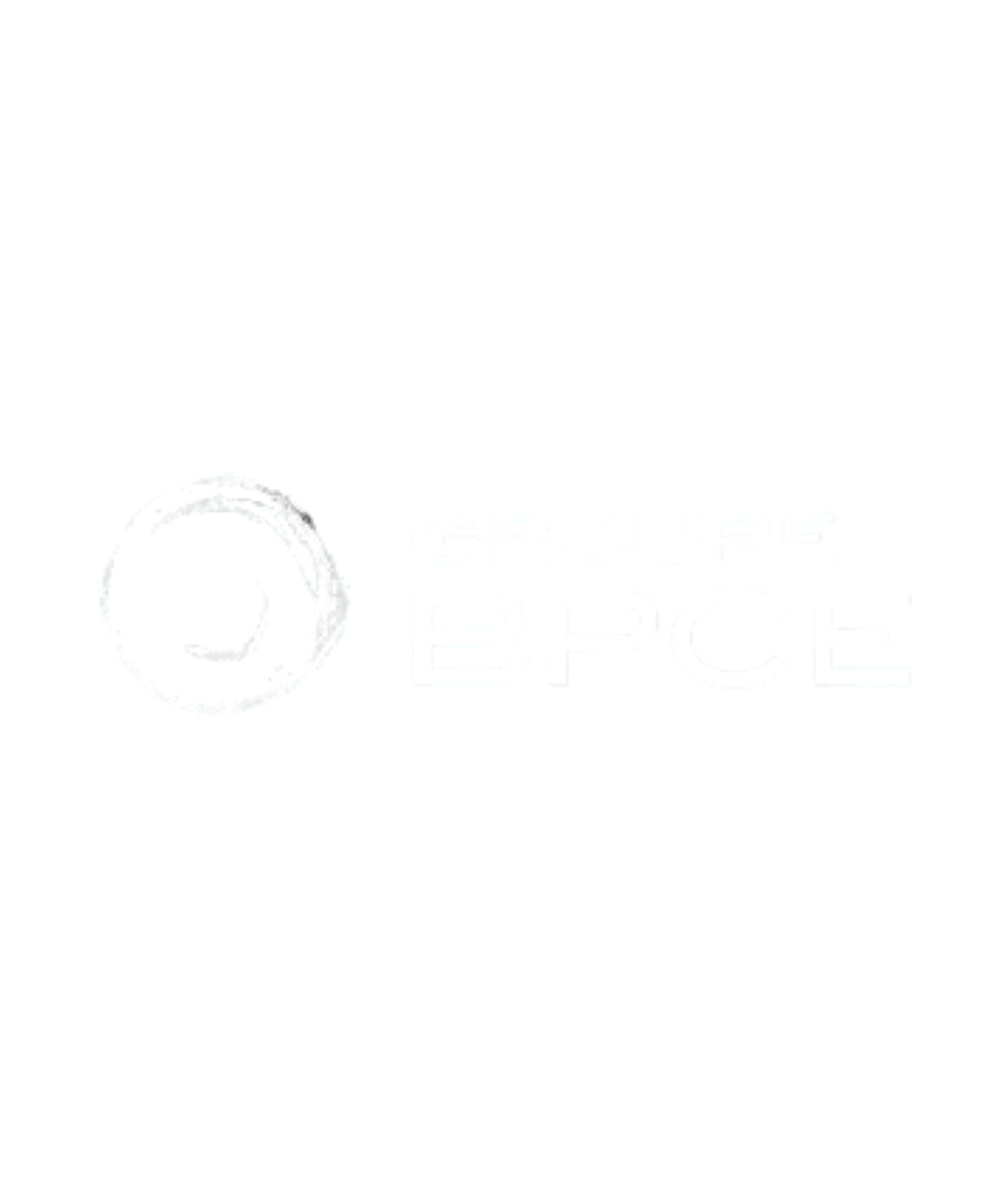 Logo BPCE